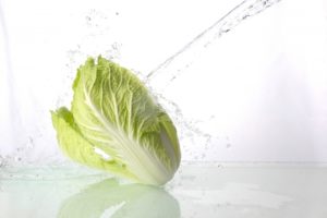 chinese-cabbage-diet1