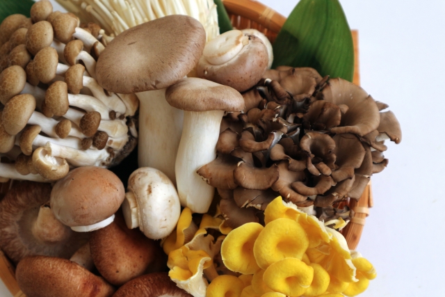 mushroom-diet1