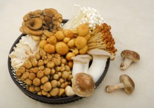 mushroom-diet5
