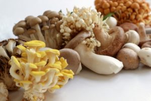mushroom-diet6